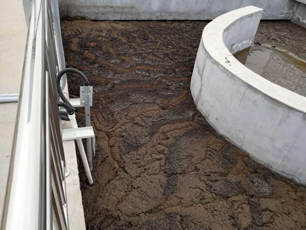 氧化溝工藝現(xiàn)場 氧化溝工藝現(xiàn)場