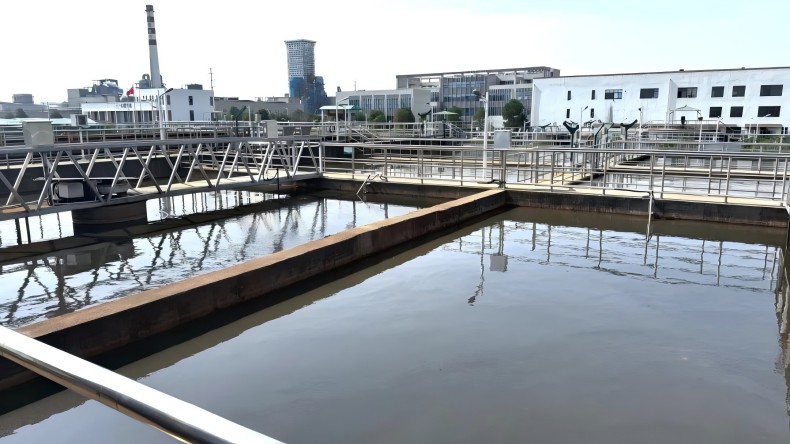 1722821832689044.jpg 5.jpg